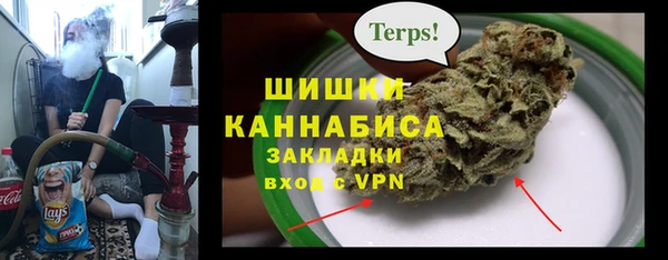 молекула духа Бронницы