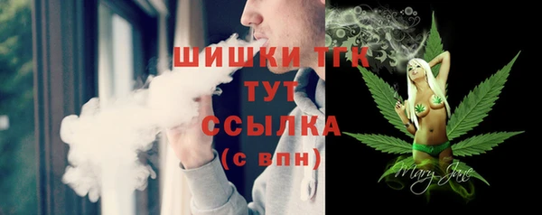 молекула духа Бронницы
