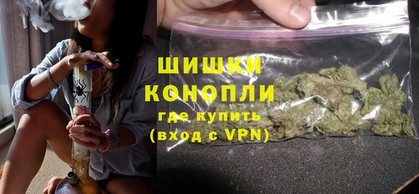 молекула духа Бронницы