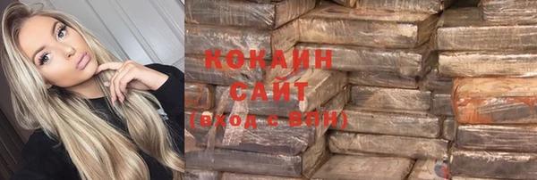 молекула духа Бронницы