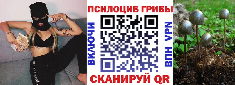 Псилоцибиновые грибы Cubensis  Фёдоровский 